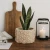 Dekoracyjna kompozycja: sansewieria w beżowej gipsowej doniczce o kamiennej fakturze, obok biała świeca w szklanym lampionie z czarną ramą, drewniana deska z uchwytem w tle, całość na drewnianym blacie, w stylu naturalnym i minimalistycznym.
