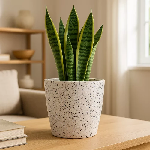 Biała osłonka ceramiczna w granatowo niebieskie drobne kropki z sansewierią o długich, zielonych liściach, ustawiona na drewnianym stole w jasnym, nowoczesnym wnętrzu.